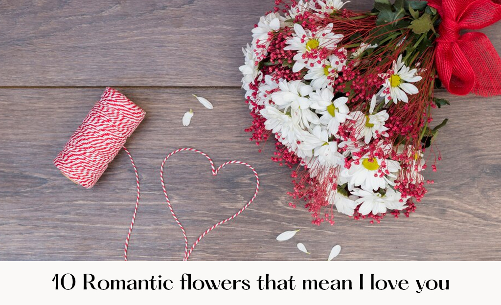 A beautiful arrangement of ten romantic flowers symbolizing love, showcasing vibrant colors and delicate petals.