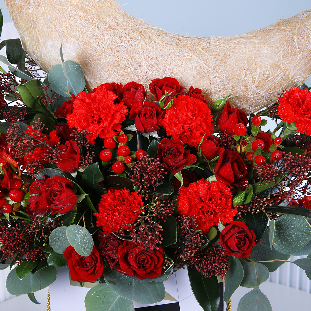 Crimson Moon Bloom | Red Carnation Gift