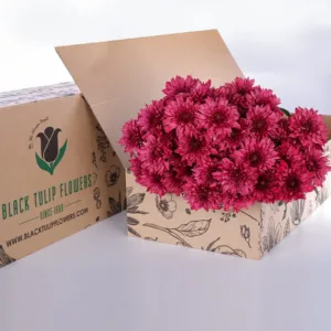 a bunch of deep pink chrysanthemums nestled inside a partially open cardboard box.