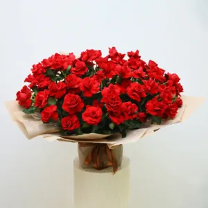 A lush bouquet of vibrant red roses arranged in a tight, dome-like formation. The roses are fully bloomed, showcasing their velvety petals and deep red hue.