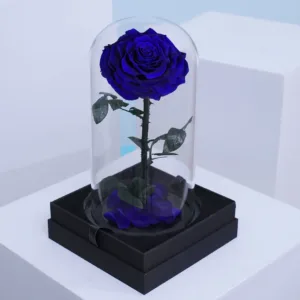 This long lasting preserved rose is one of the most magnificent way to impress your loved ones. Buy Now!