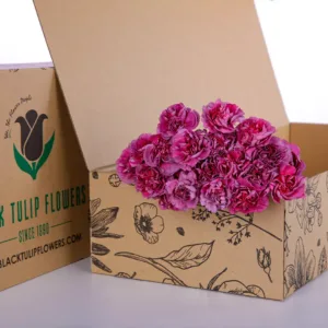 The Carnation 20 stems In The Box