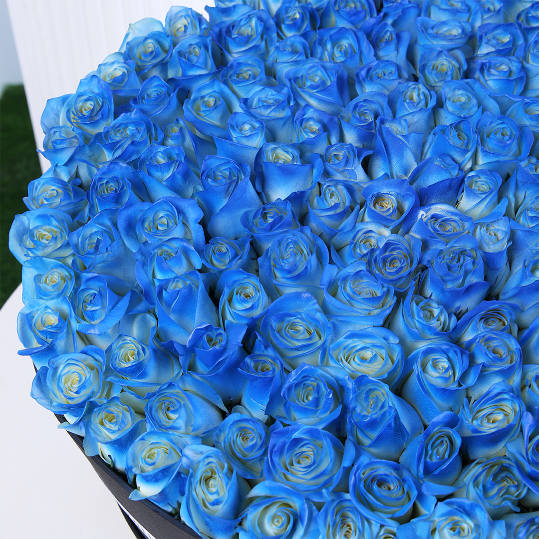 Mystic Blue Rose Box - Flower Delivery Dubai, UAE