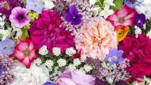 b339d066 04cd 4b48 b90f 2a280eaf4523 1920 1080