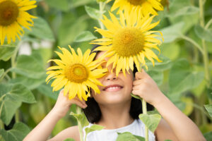 happy little asian girl having fun blooming sunflowers gentle rays sun