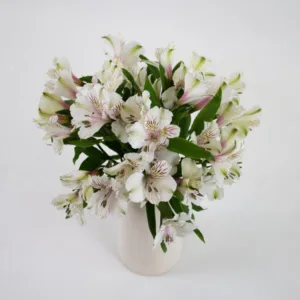 ivory white peruvian lilies flowers diy wedding 22 131 l