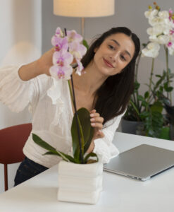 view woman decorating her home with orchid flower e1750690892727