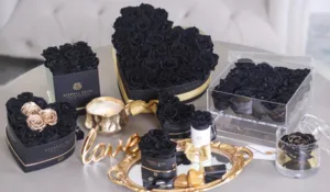 Quick Tips for Choosing Black Roses e1751452023742