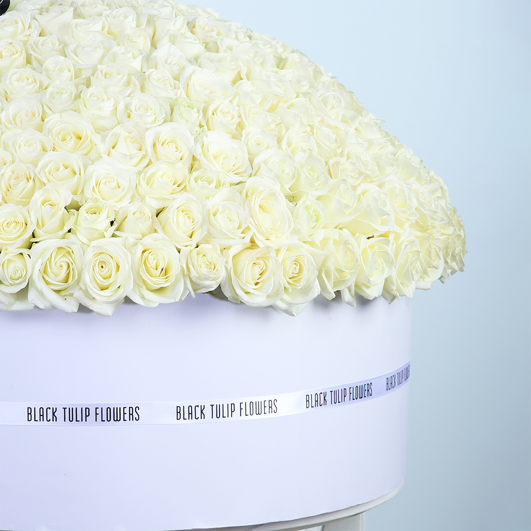 White Roses In Box Grand White Rose Box | Luxury Arrangement