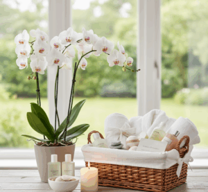 A Spa Day Experience with Orchids