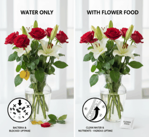 Add Flower Food or DIY Preservative e1757326710990