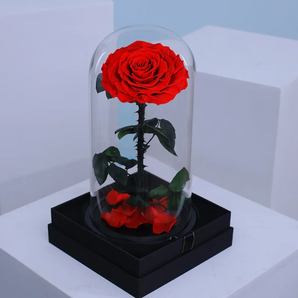 02 4 2