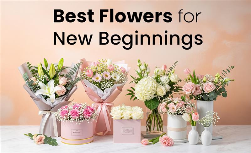 Best flowers for new beginnings, symbolizing hope, renewal, and fresh starts.