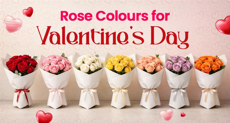 Different rose colours for Valentine’s Day and what each colour symbolizes in love and relationships