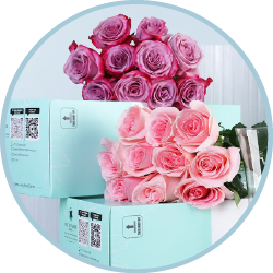 Flower Bunch