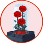 Valentines Icon 08