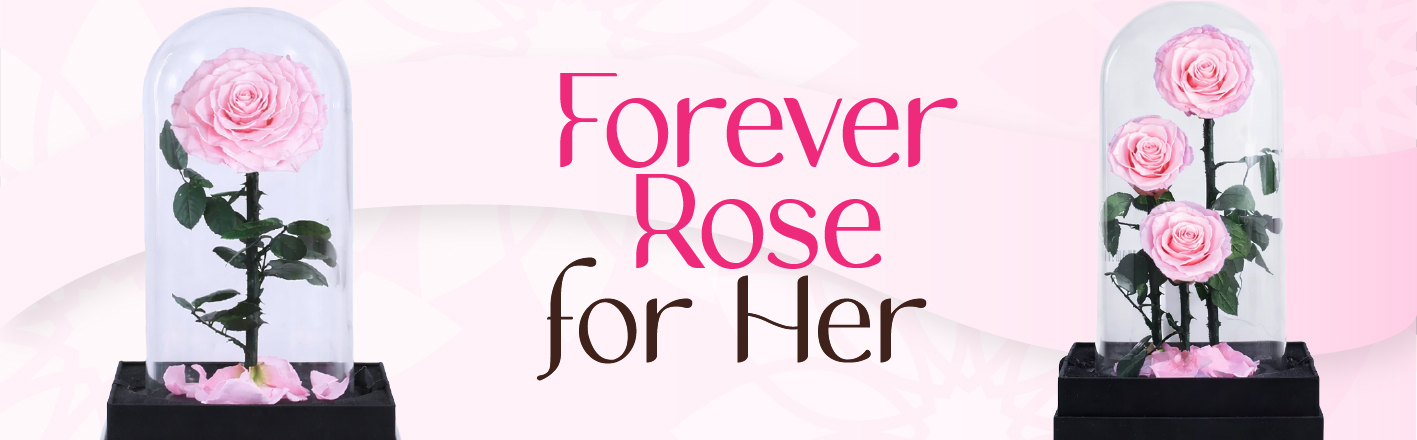 Mobile Side down banner 06 03 889