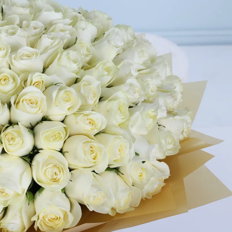100-white-roses-bouquet_04 100 white roses bouquet 04