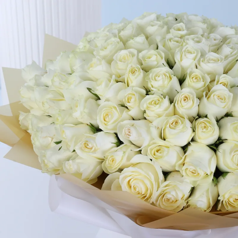 100-white-roses-bouquet_05 100 white roses bouquet 05