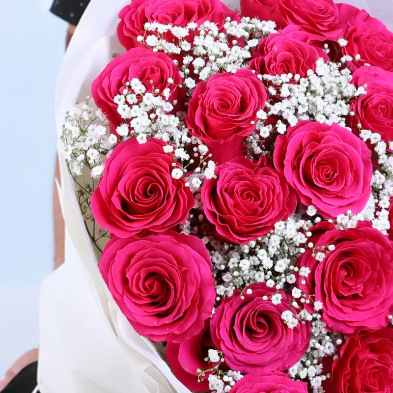 blush majestic roses 04
