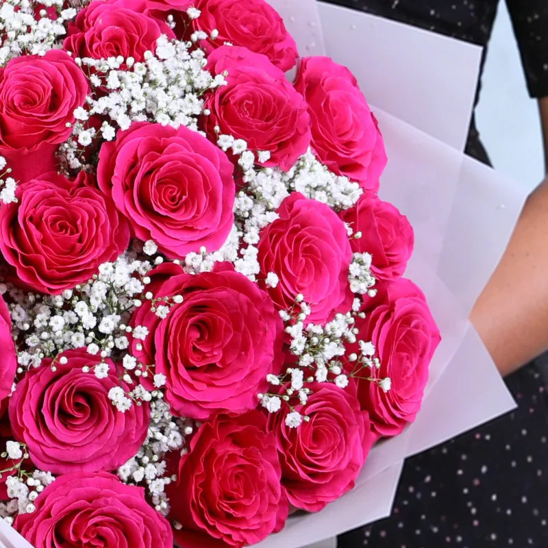blush majestic roses 05