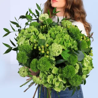 Fresh green bouquet arrangement combining soft hydrangea, viburnum clusters, hypericum berries, and lush leafy foliage in a modern wrap