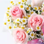 Butterfly Bliss Floral Box 4 sweet-pink-cheer-box_04