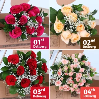 Seasonal colourful rose bunches arranged in a fresh bouquet, part of a weekly flower subscription with customizable delivery options
