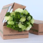 white-and-green-floral-bunch_02