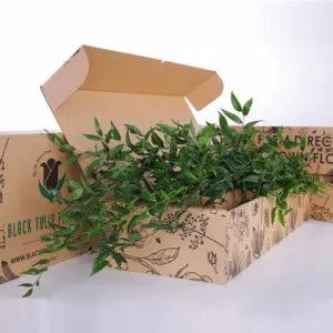 Bunch of Italian Ruscus