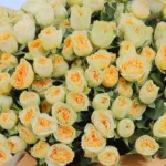 imperial-rose-bouquet_05