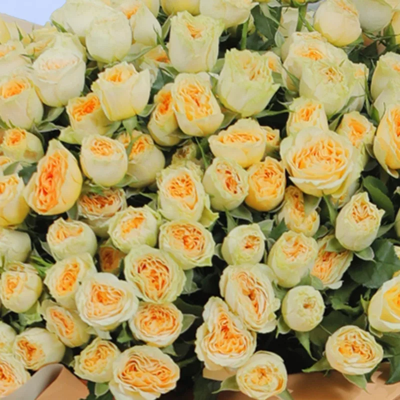 imperial rose bouquet 05