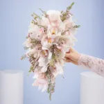 Orchid Bridal Dream 1 orchid-bridal-dream