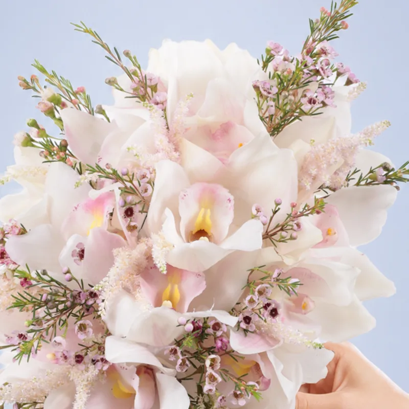 orchid-bridal-dream_02 orchid bridal dream 02