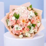 rosy-twirl-collection_02