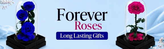 Long Banner