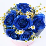 Blue Butterfly Dream Box 2 blue-butterfly-dream-box_02