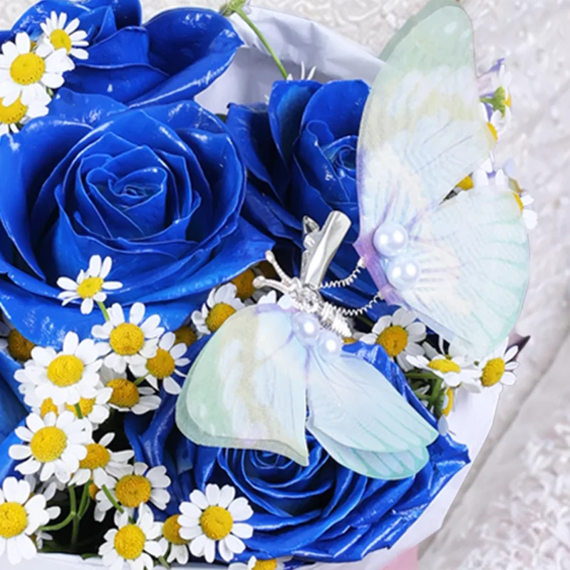 blue-butterfly-dream-box_04 blue butterfly dream box 04