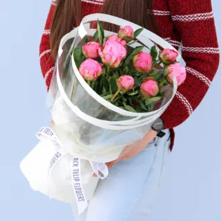 Beautiful peonies flower arranged in a transparent sheet tied with a white satin ribbon.