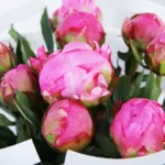 elegant-peonies-bouquet_02