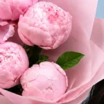 five-peonies-in-pink_02