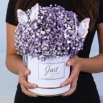 Gypsophila Butterflies Charm 1 gypsophilia-butterflies-charm