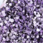 Gypsophila Butterflies Charm 4 gypsophilia-butterflies-charm_04