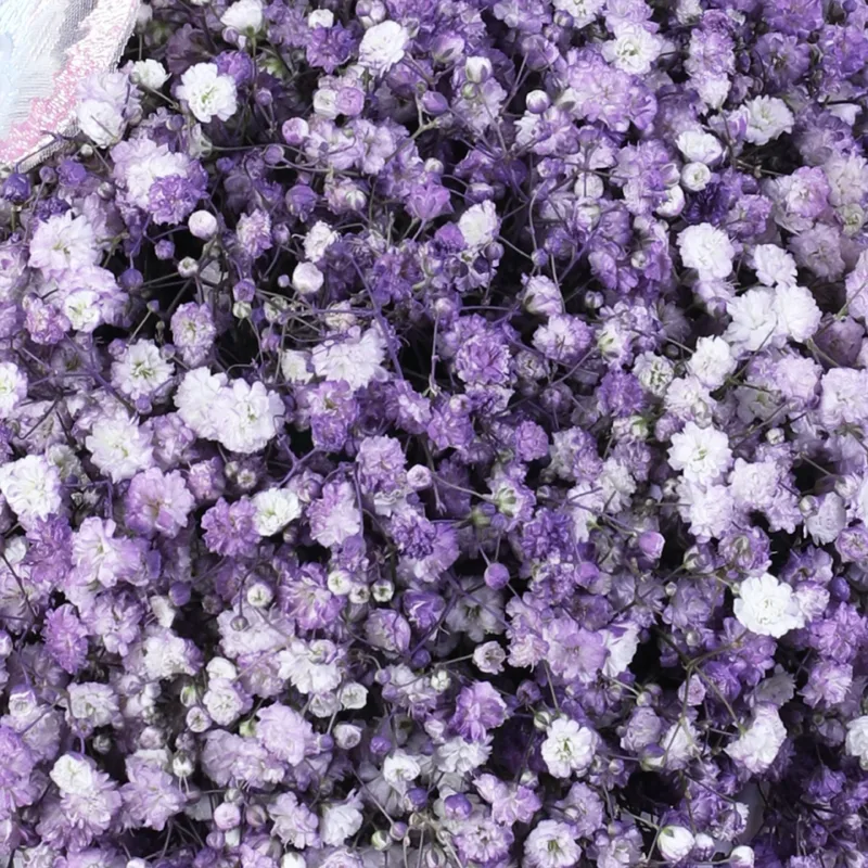 gypsophilia-butterflies-charm_04 gypsophilia butterflies charm 04
