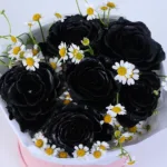 midnight-rose-and-butterfly-box_02