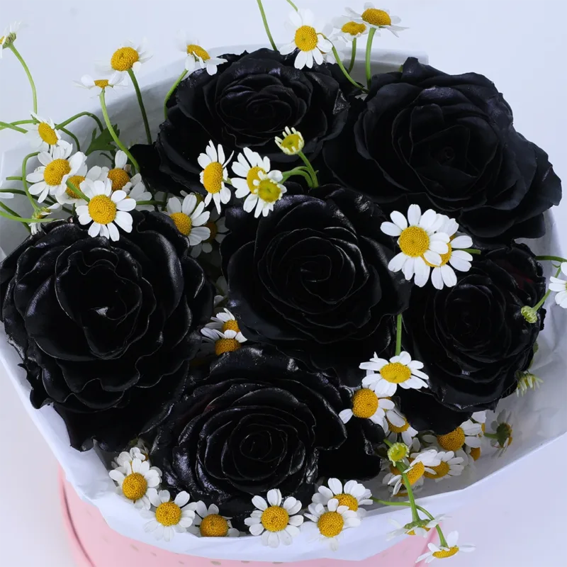 midnight rose and butterfly box 02