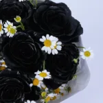 midnight-rose-and-butterfly-box_04