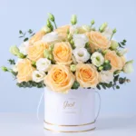 Peach White Harmony Box 1 peach-white-harmony-box
