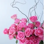 Pink Rose Love Box 4 pink-rose-love-box_04