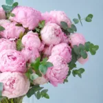 Pink Peonies in Vase 2 rosy-peonies-in-vase_02